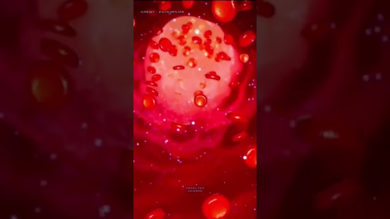 How Tablet work in our Body?