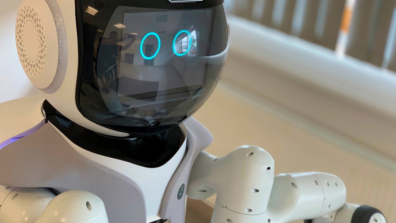 Konzept von GARMI - Roboterassistent für ein selbstbestimmtes Leben im Alter