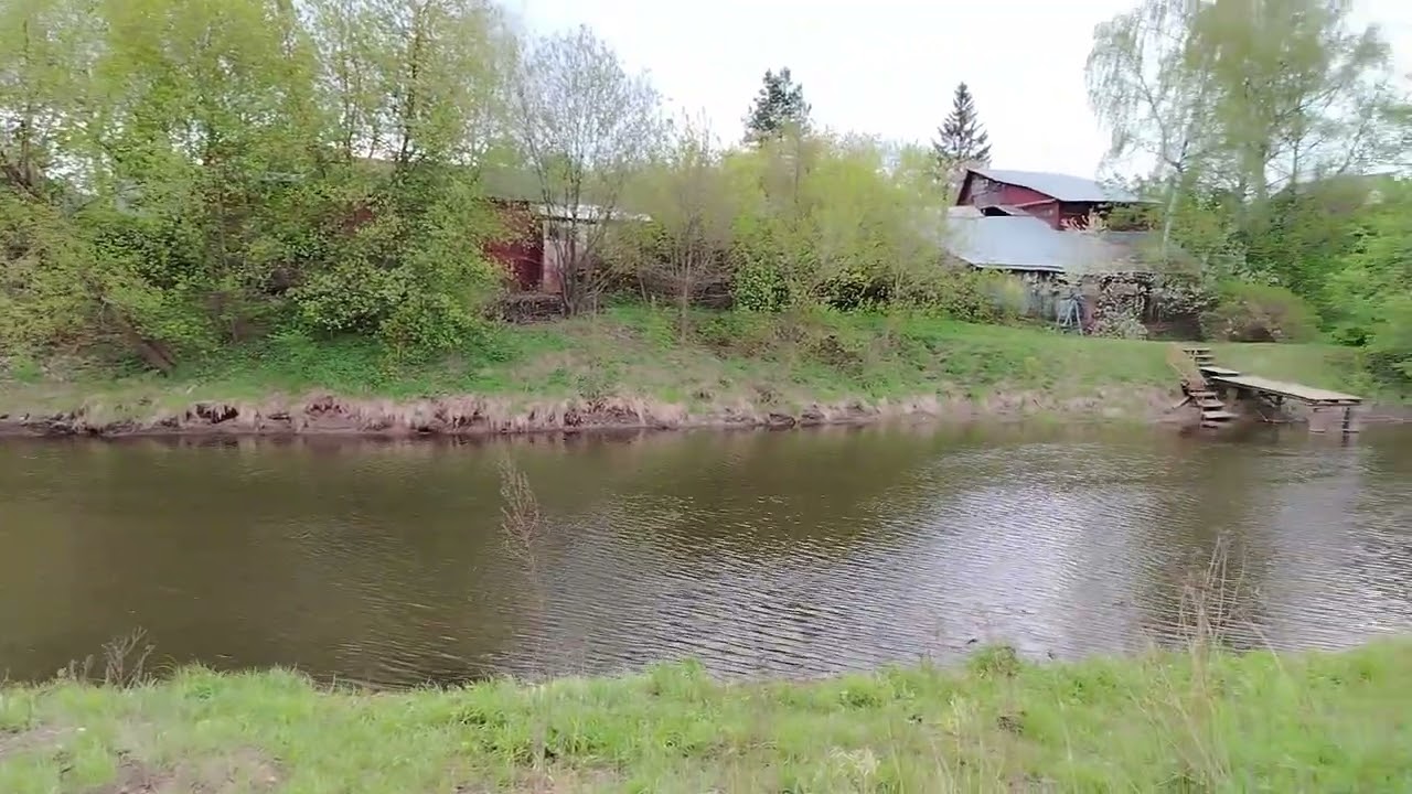 Эстетика подмосковной природы. Прогулка по берегу реки Клязьма. Городской округ Пушкино