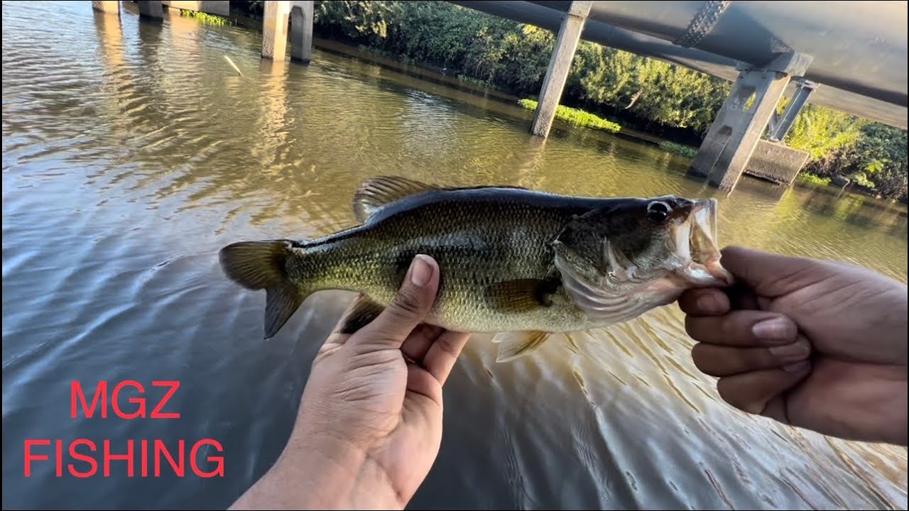 Whiskey slough delta bass fishing (the back spillway)