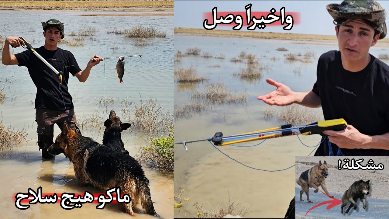 وأخيراَ وصلني وحش الصيد _ البحث على الأسماك _ هجوم الكلاب على لوسي 😨