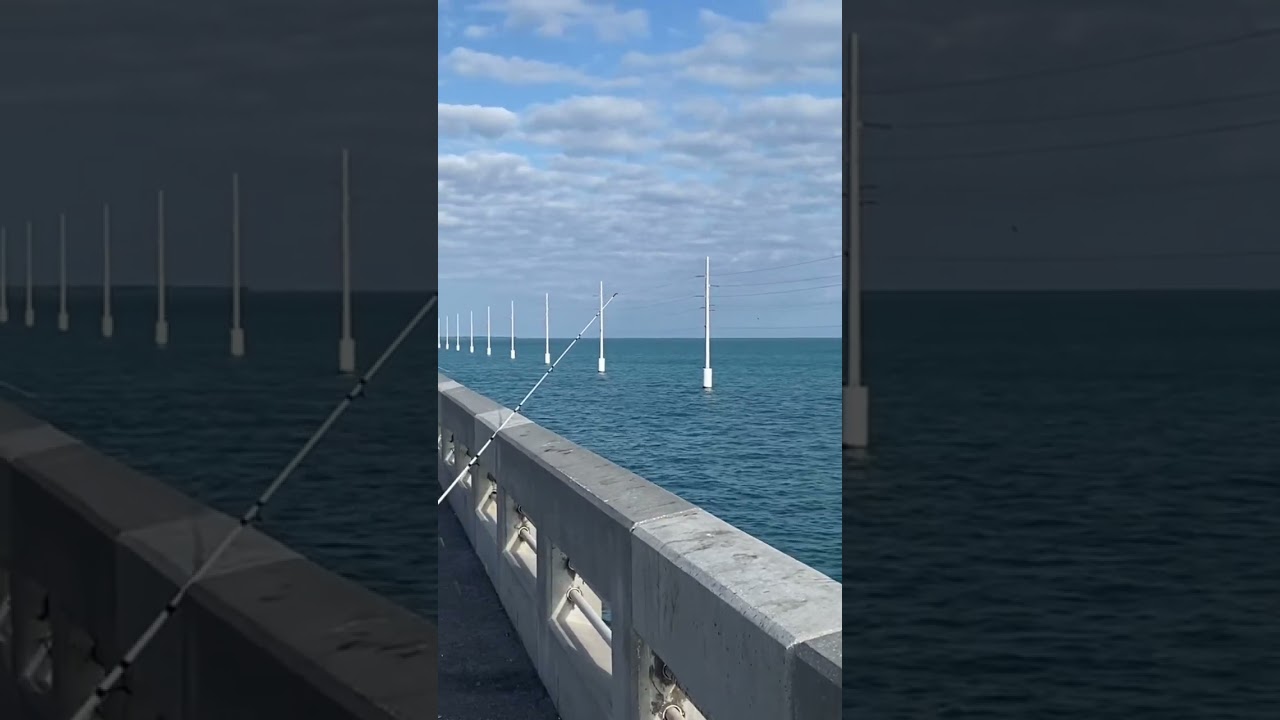El Mejor Puente De Los Cayos Pesca En Long Key #fishing #buenapesca #fish