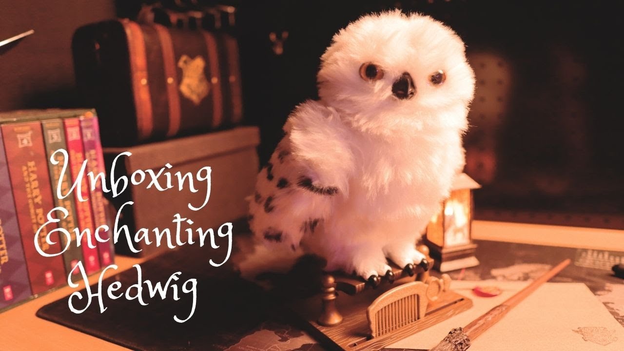 Unboxing the Enchanting Hedwig