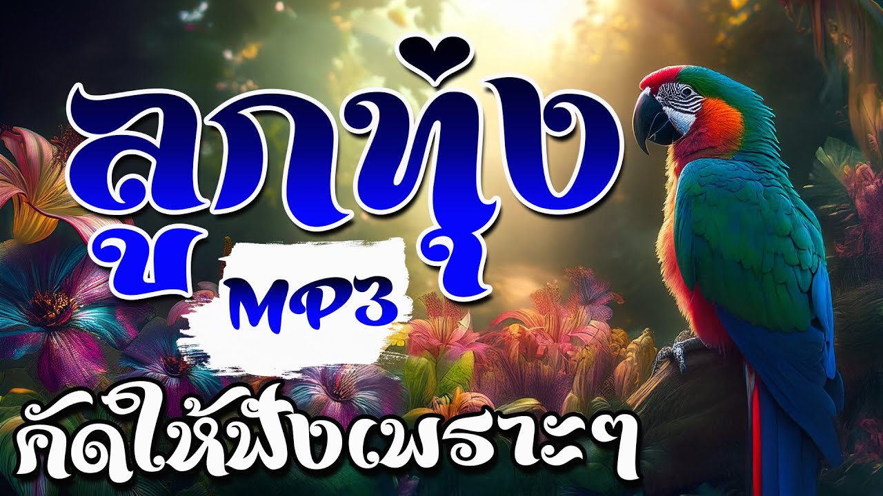 ลูกทุ่งคัดให้ฟังเพราะๆ MP3