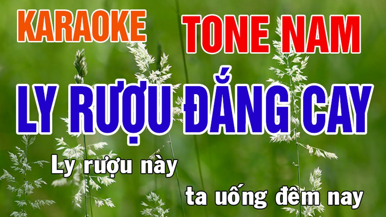 Ly Rượu Đắng Cay Karaoke Tone Nam Nhạc Sống - Phối Mới Dễ Hát - Nhật Nguyễn