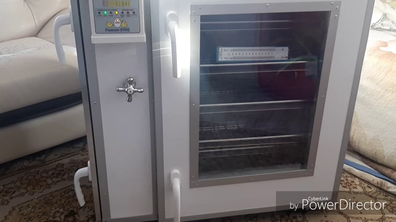 ИНКУБАТОР  РЭМИЛ -270Ц /НАЗОВИ КАНАЛ-ПОЛУЧИ СКИДКУ 👍