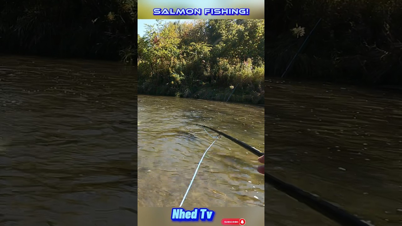 Salmon Fly Fishing 