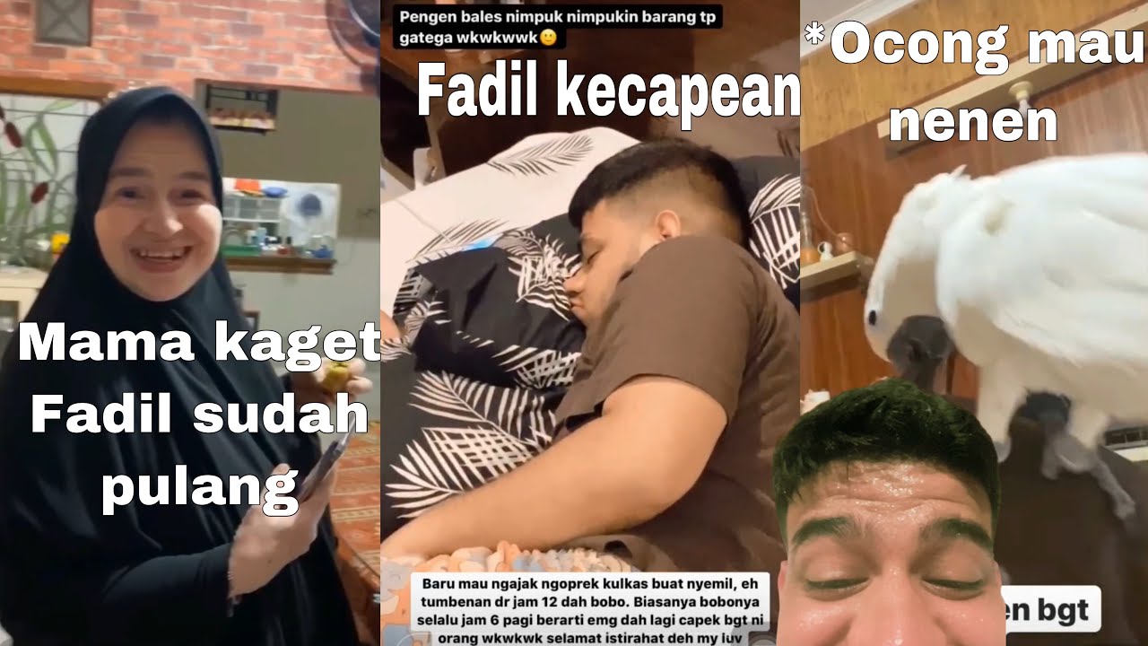 MAMA FADIL KAGET LIHAT FADIL JAIDI SUDAH PULANG DARI SUMBA! KEANU, DARA DAN FADIL DAPET OLEH-OLEH