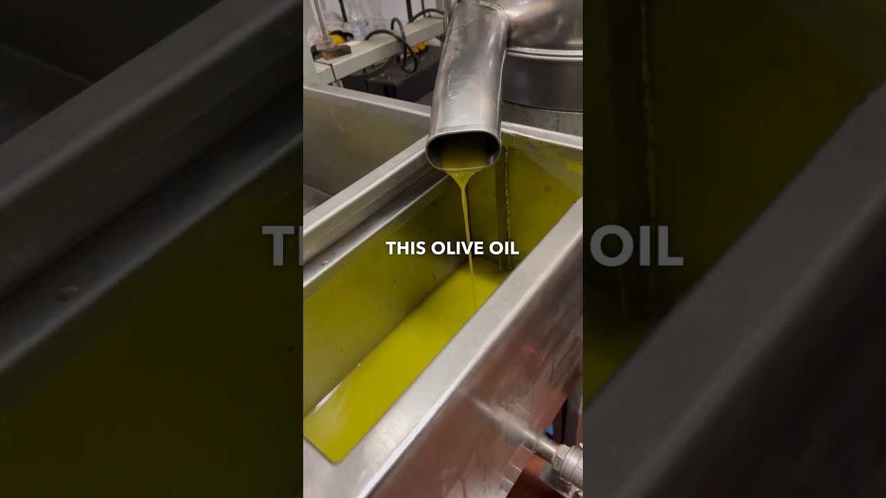 How Italians make their olive oil Part 2