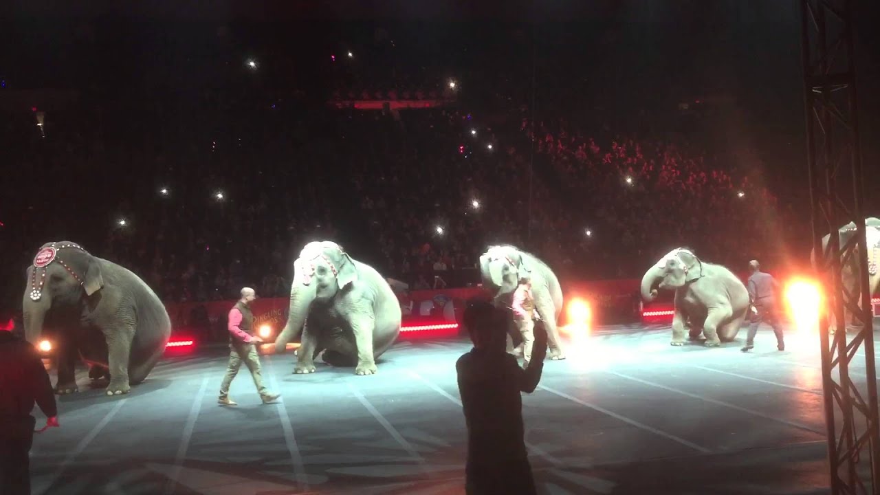 Ringling Brothers Barnum and Bailey Circus elephants Cincinnati Ohio xtreme 03/04/2016