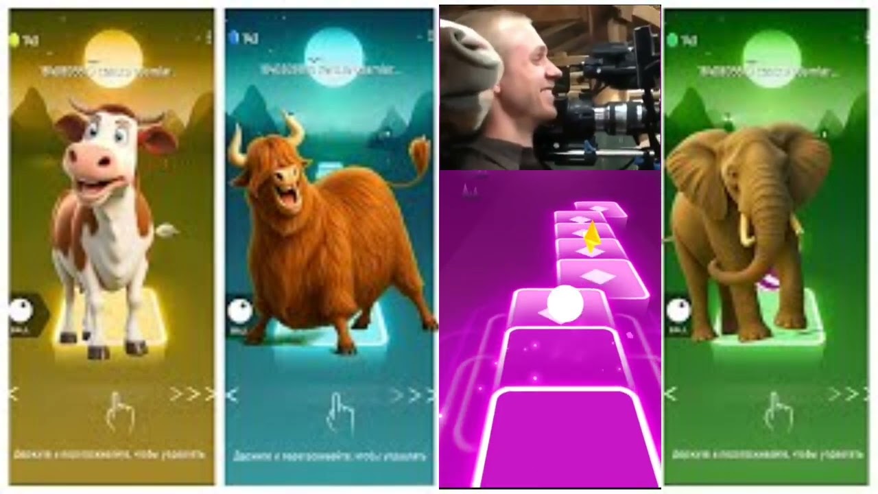 Funny Animals - Cow 🆚 Tiger 🆚 Elephant 🆚 Lion 🎵 Tiles Hop #part121