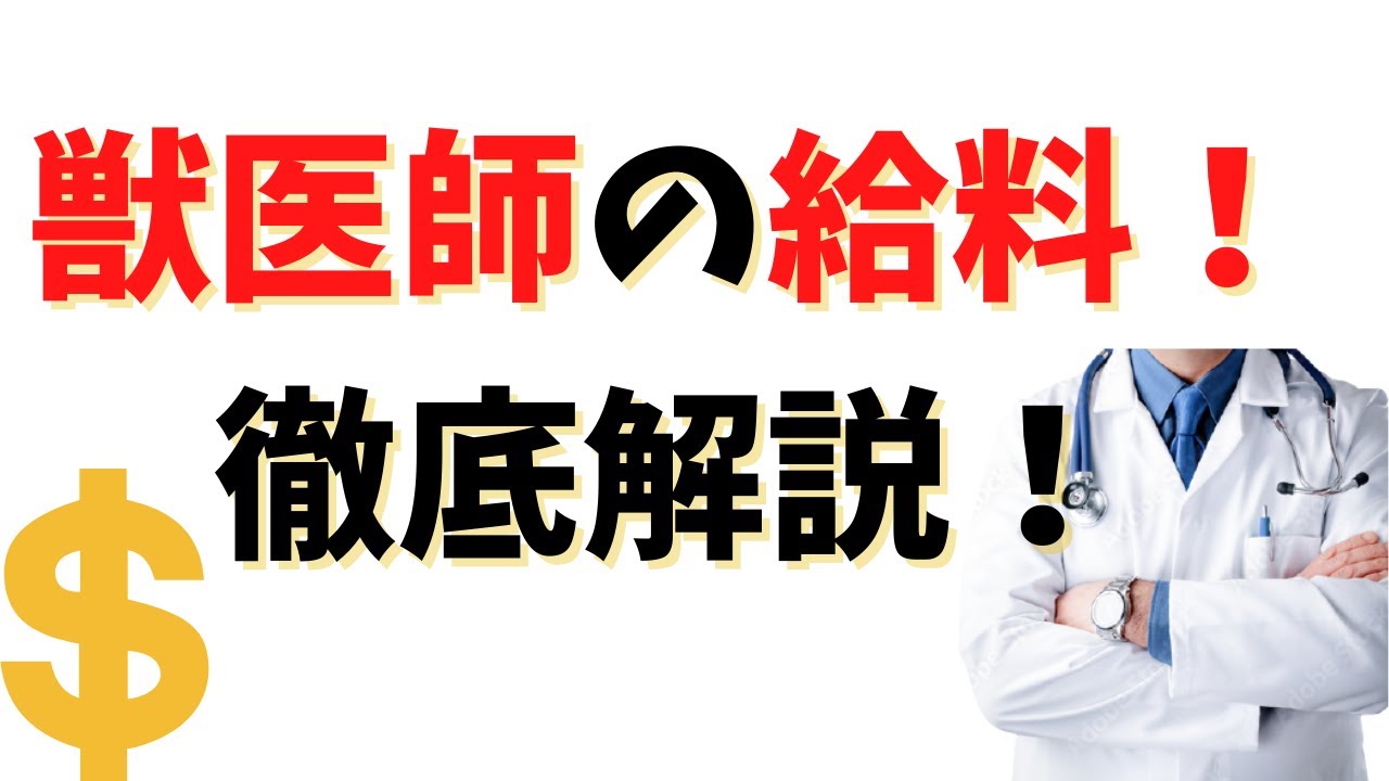 獣医師の給料ってどのくらい？1年目の獣医師のリアルな給料を徹底公開！！