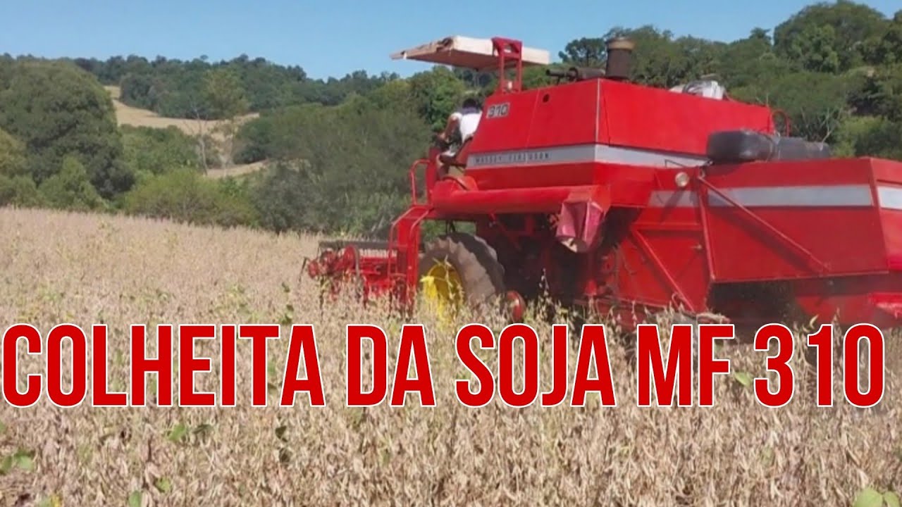 Colheita da Soja MF 310