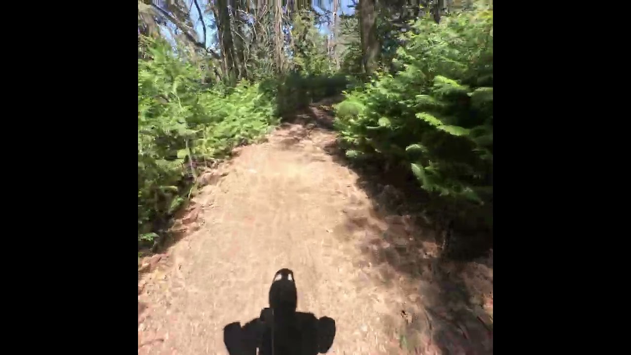 Skypark upper/lower sleigh ride/dark forest @ExploreVision01 @ride @GoPro 