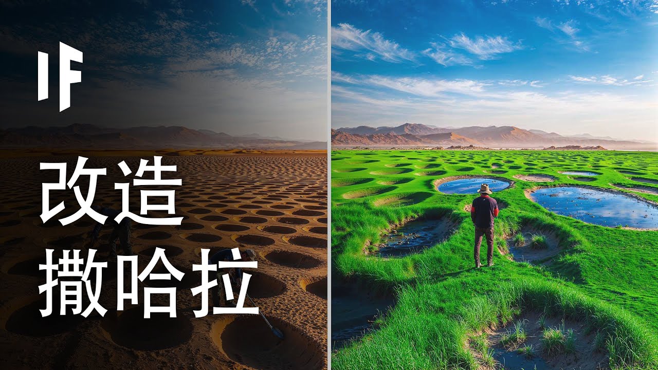 如果我們改造撒哈拉沙漠會怎樣？【中文字幕】｜大膽科學