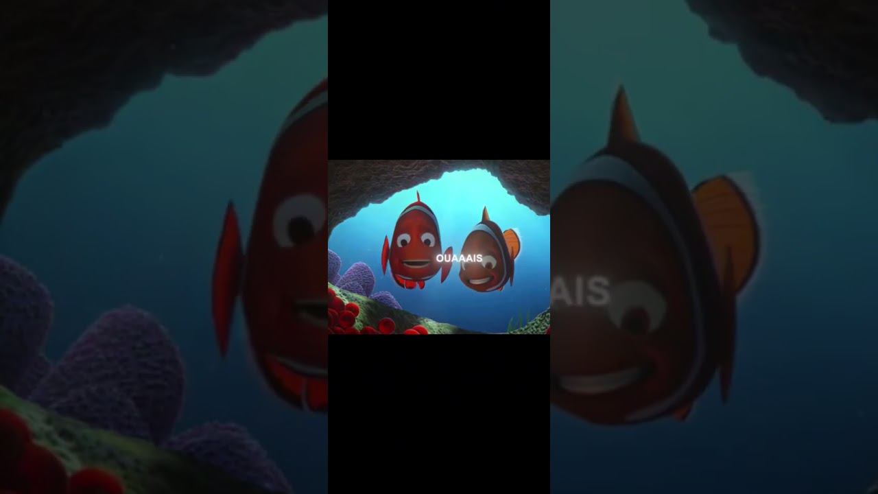Nemo 🐟 