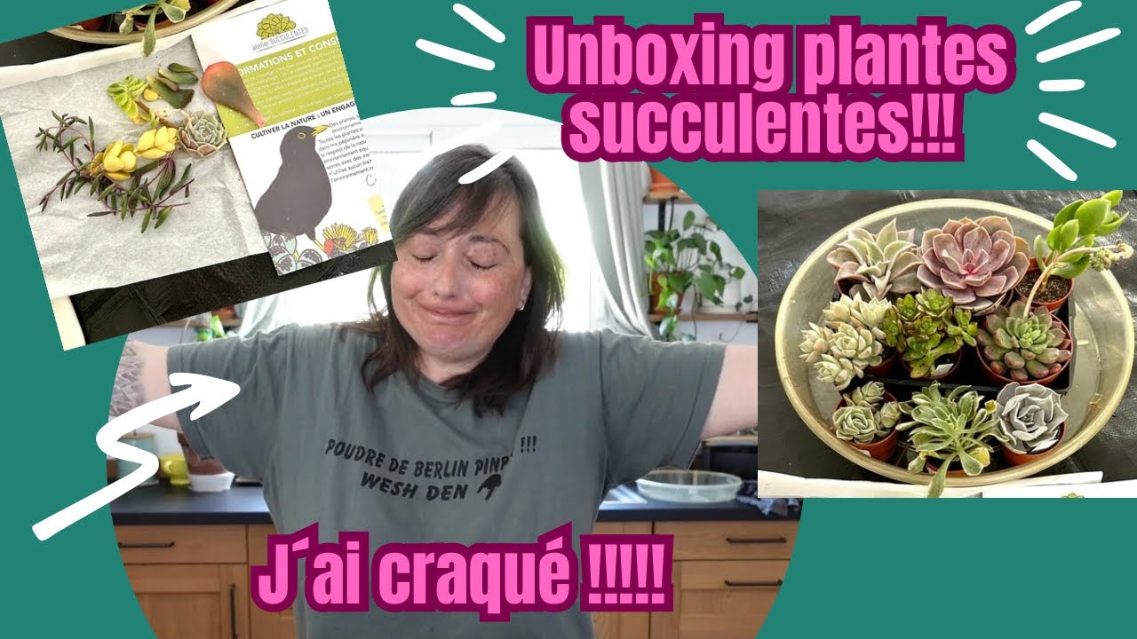 J'ai succombé à la tentation! | Unboxing plantes succulentes | Le petit jardin de Bob
