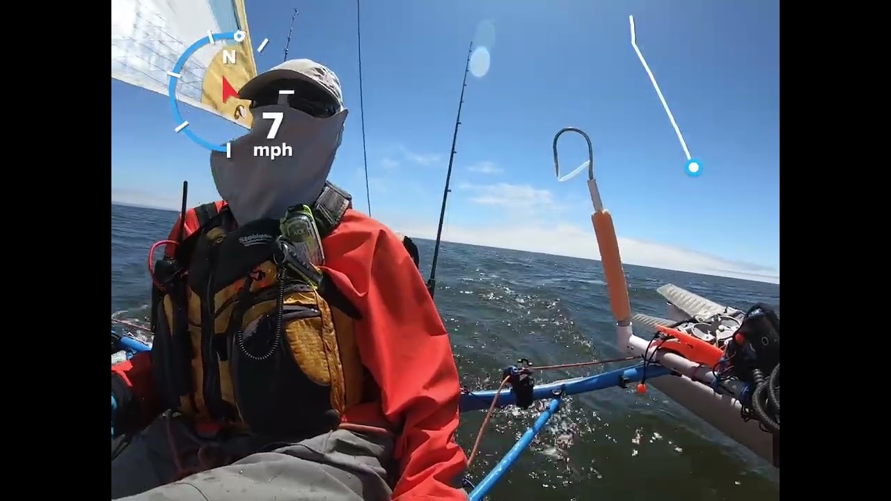 Sailing 8/13/25