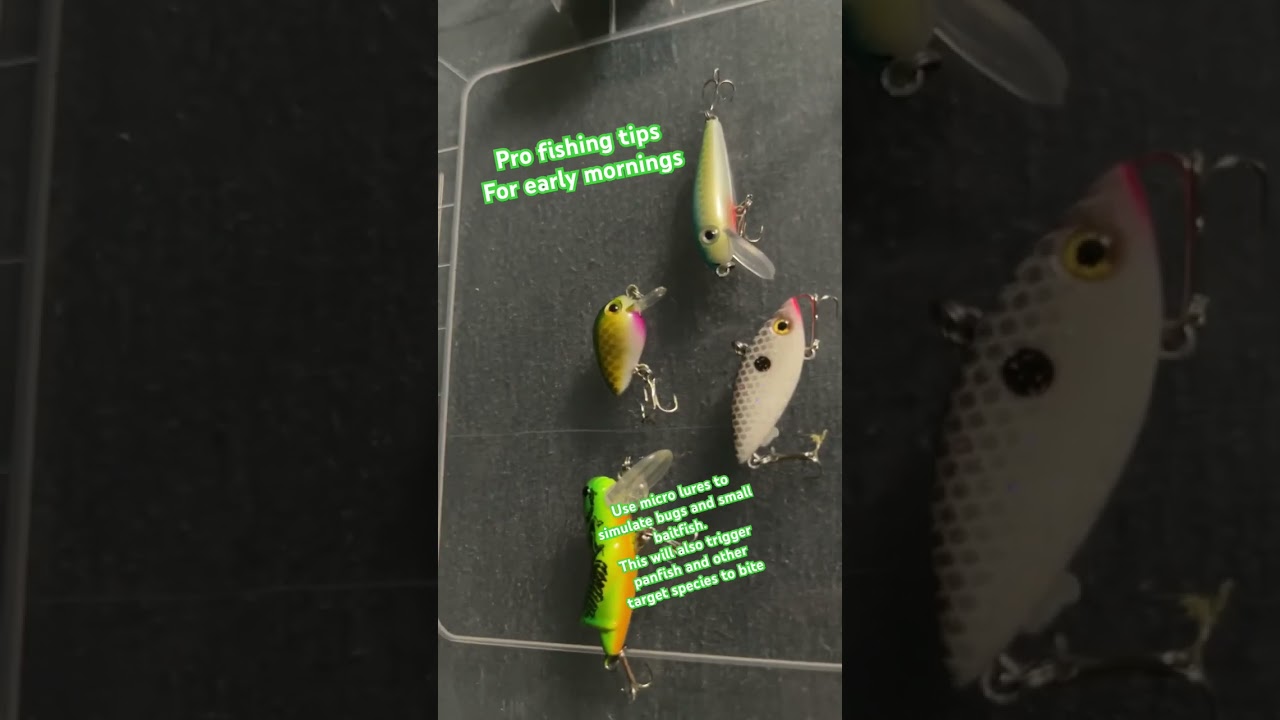 Pro fishing tip early morning baits and lures