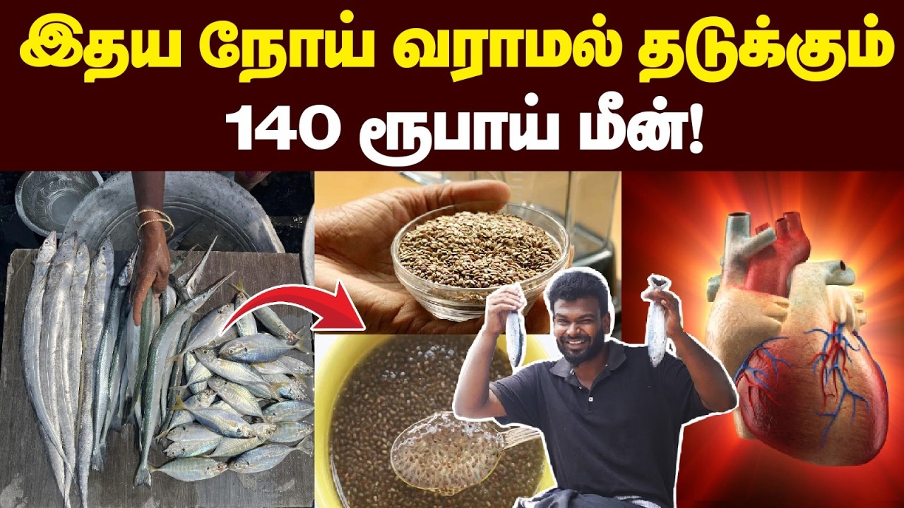 தமிழ்நாடு முழுக்க எங்க வேணாலும் கிடைக்கும் 🤩🤩| உடனே வாங்கி சாப்பிடுங்க மாற்றத்தை நீங்களே பாப்பீங்க 🤩