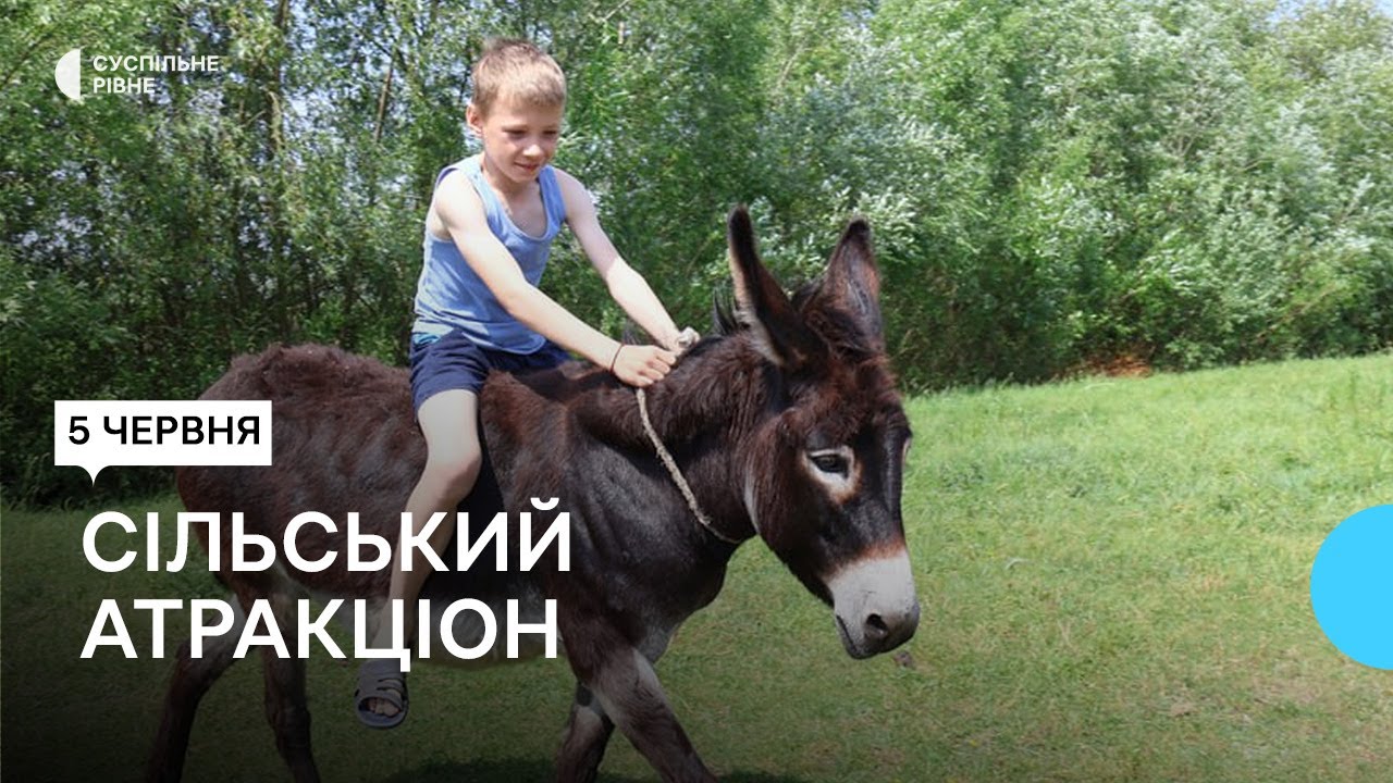 Фермер на Рівненщині придбав для дітей ослицю Ноомі