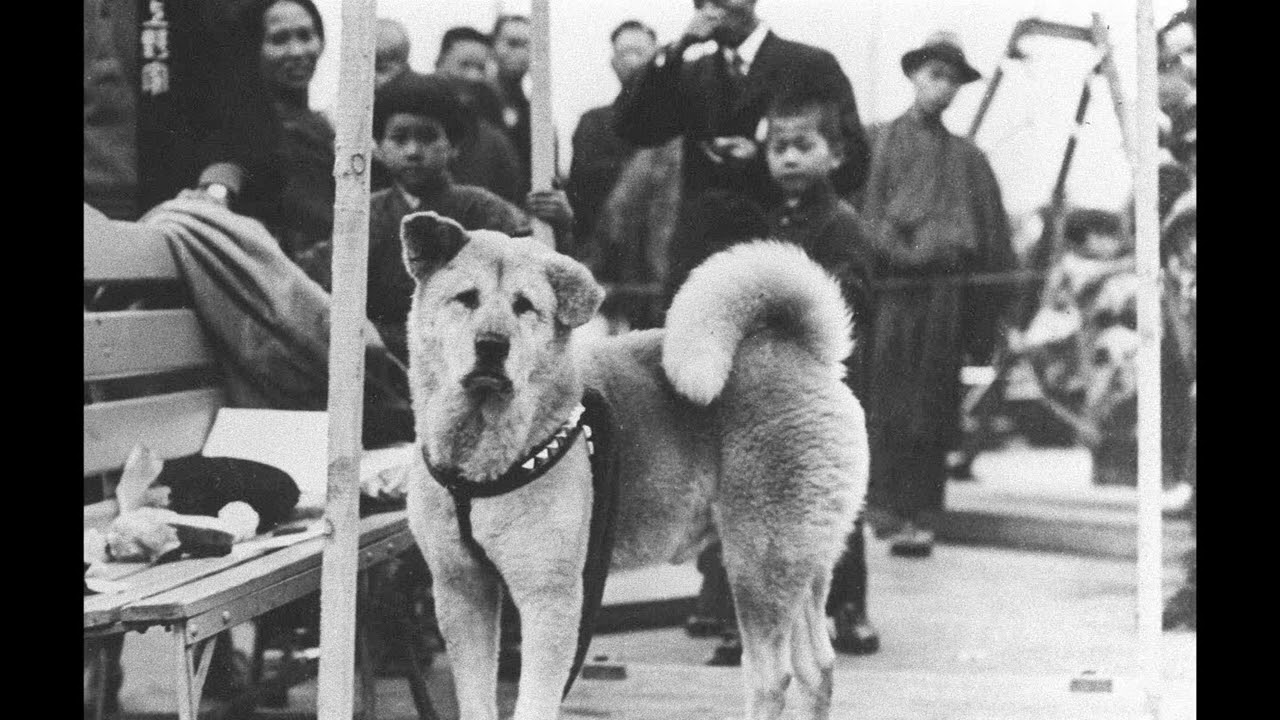 LA DUPLA - HACHIKO