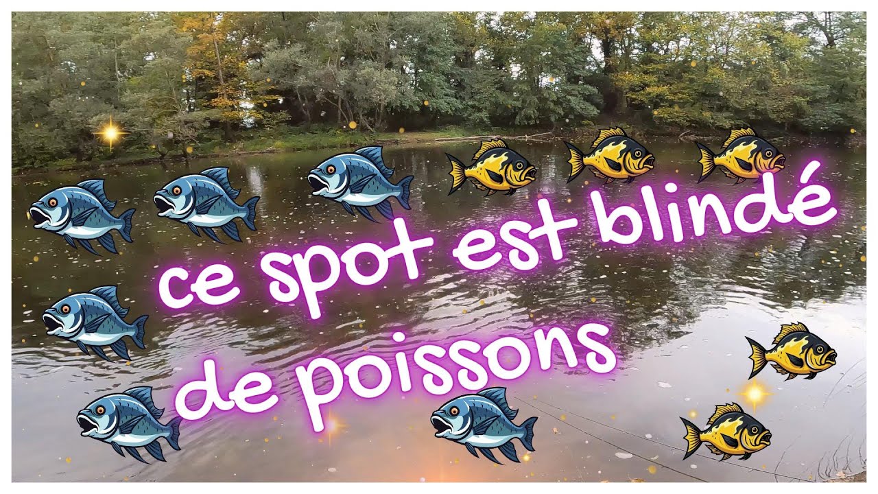 DINGUERIE AVEC LEURRE 2 FISH ON TROUVE UN SPOT BLINDÉ DE POISSONS