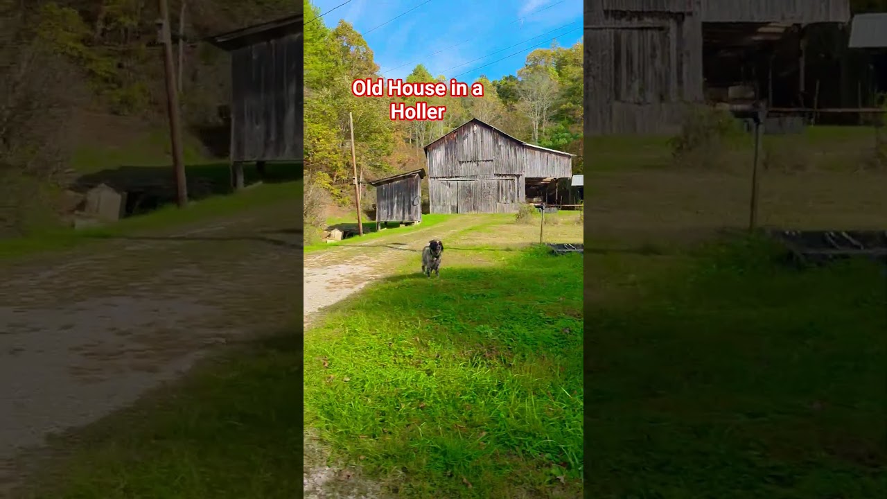 Miranda Lambert House that Built Me 