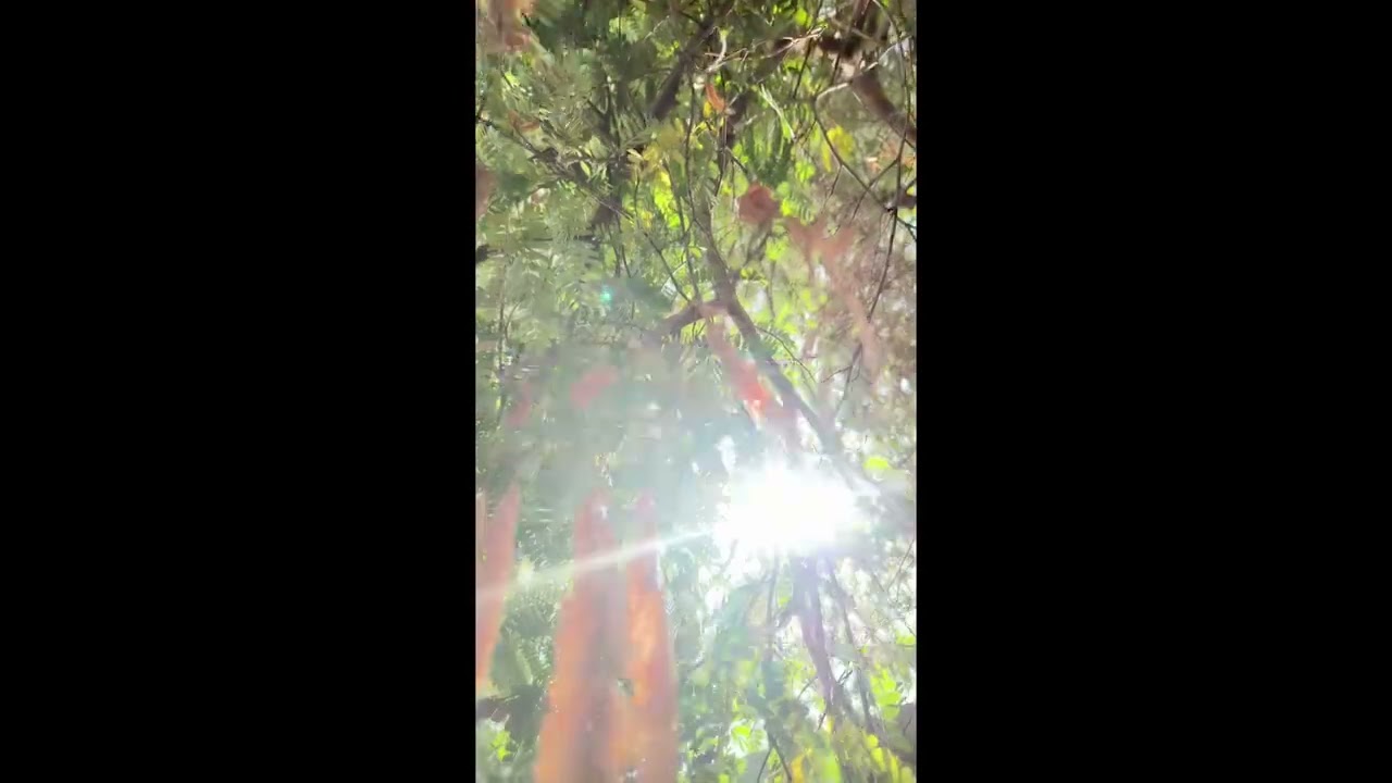 HERIDAS EN EL ALMA 1