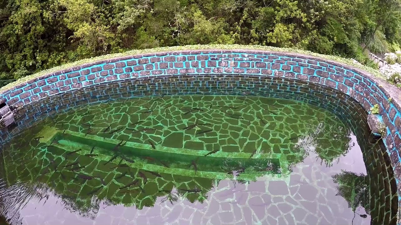 Posto Aqu&iacute;cola do Ribeiro Frio