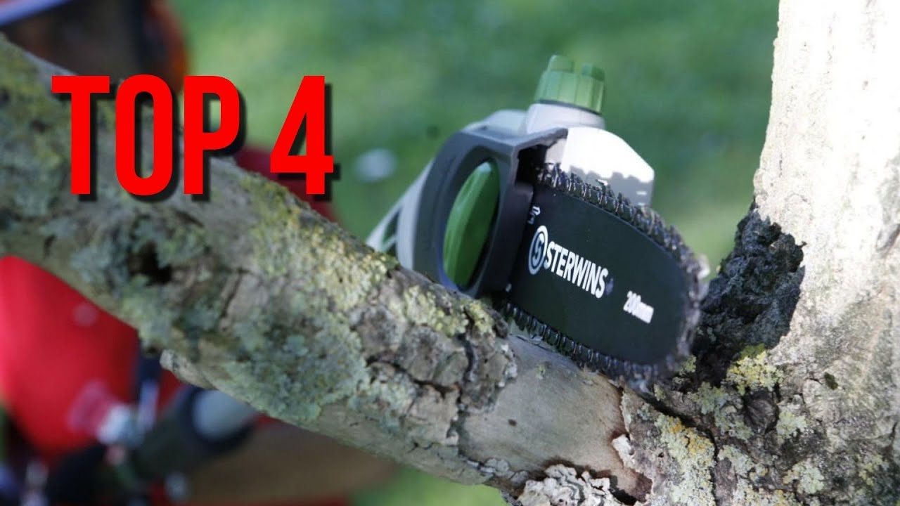 TOP 4 : Meilleure Elagueuse sans Fil 2021