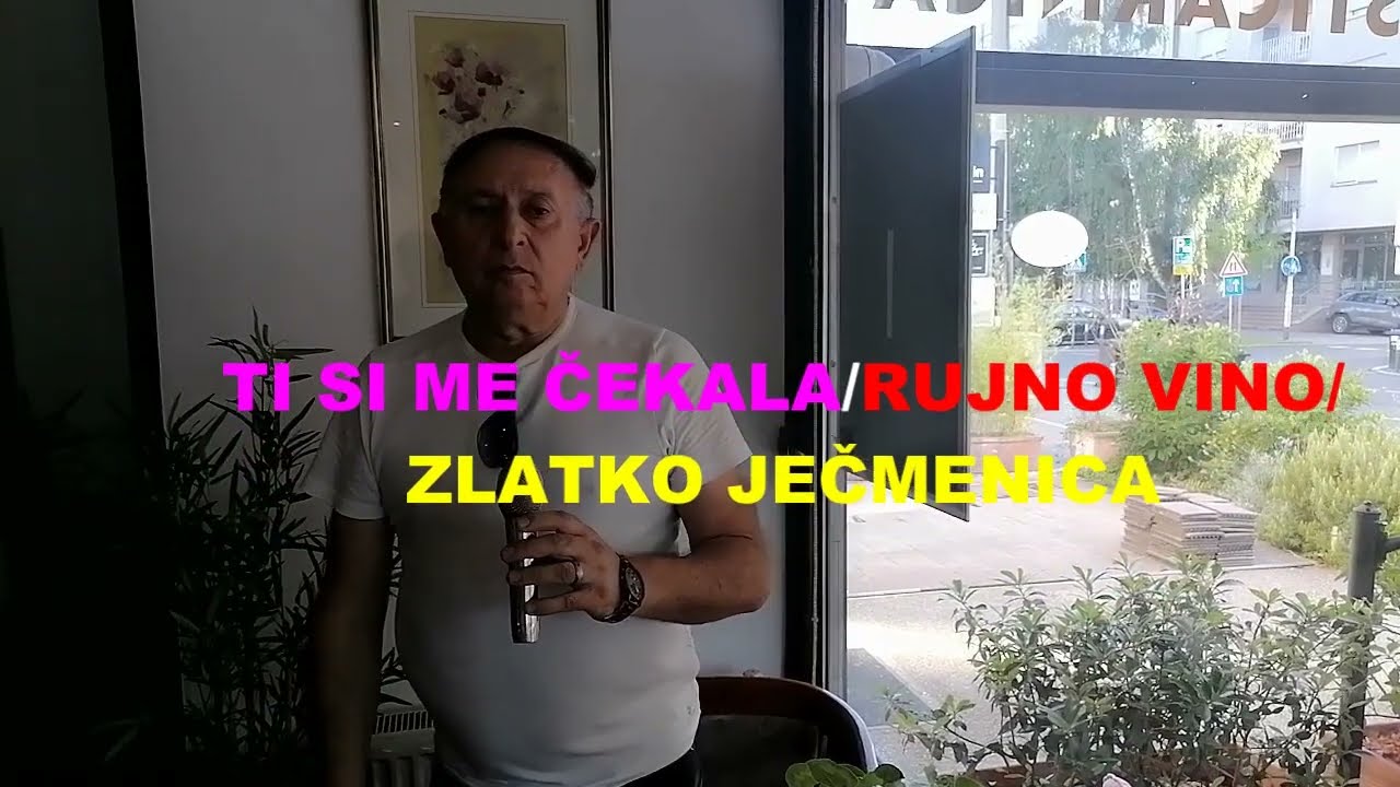 TI SI ME ČEKALA/RUJNO VINO/ ZLATKO JEČMENICA