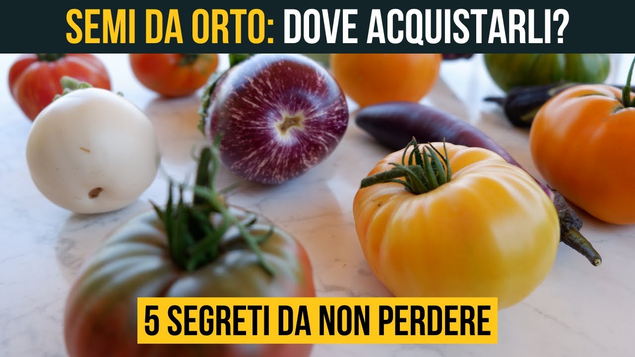 SEMI DA ORTO 🍉Guida Strategica all'Acquisto tra Forum, Negozi Fisici e Acquisti Online! 🍅🍆🌽