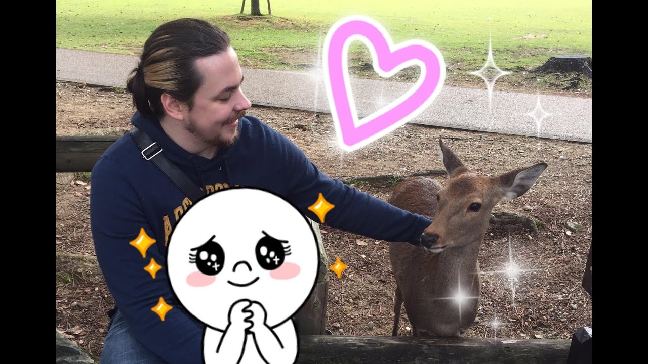 ►Follow Egoraptor and I around NARA PARK with GIRLGAMERGAB!!