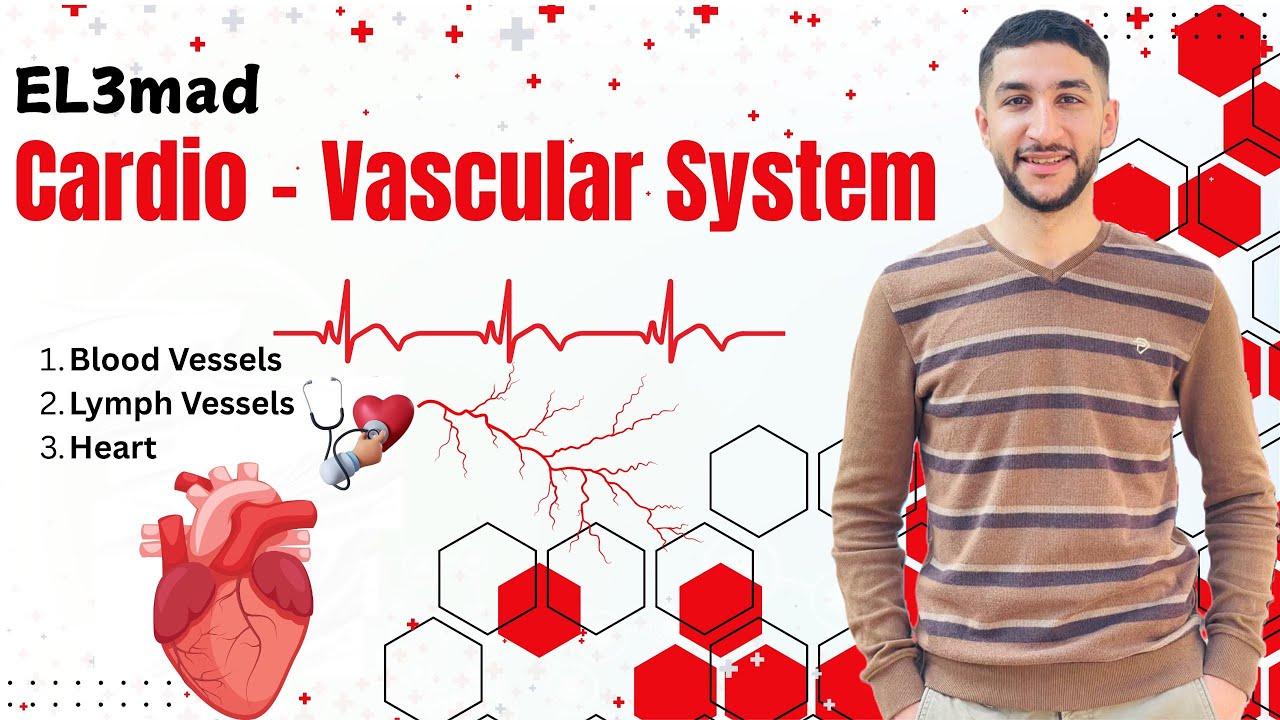 Cardiovascular system part 1 ( Blood Vessels structure ) Dr. Emad Hedman
