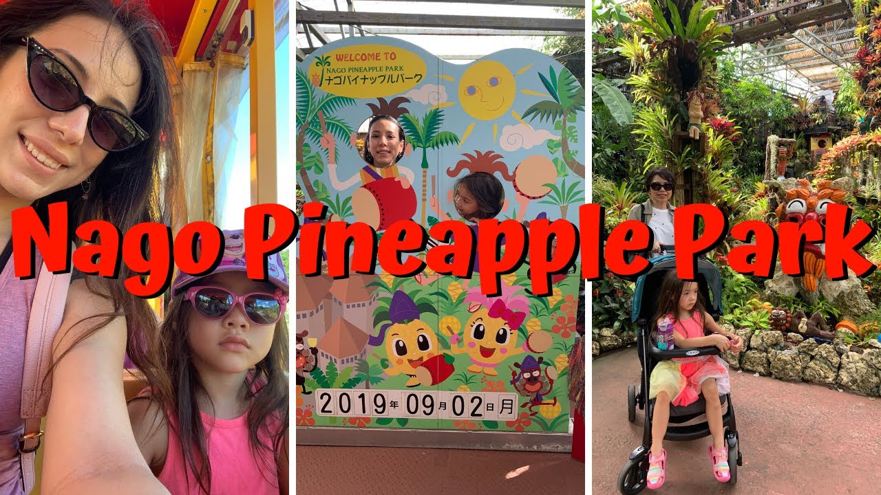 Nago Pineapple Park in Okinawa, Japan!