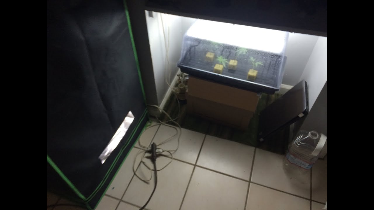 Clones / custom grow room set up