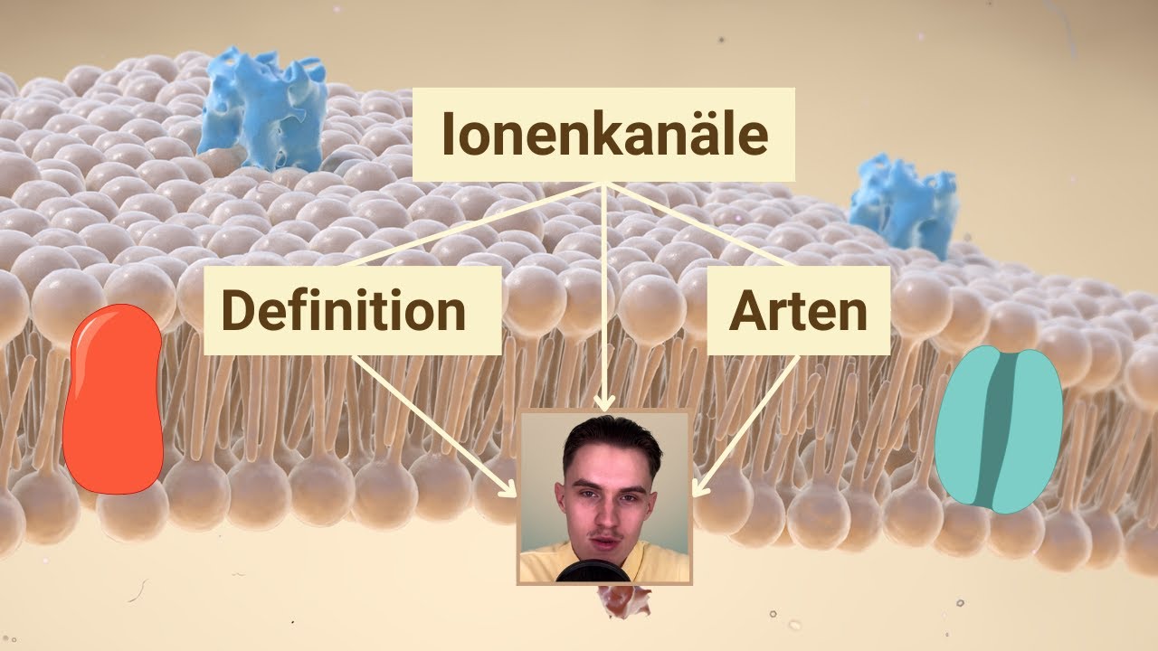 Ionenkan&auml;le - Definition, Arten, Bedeutung