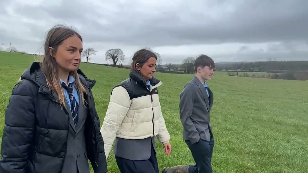 2022 finalist - Boherbue Comprehensive school