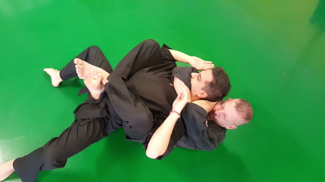 Tuite Jutsu