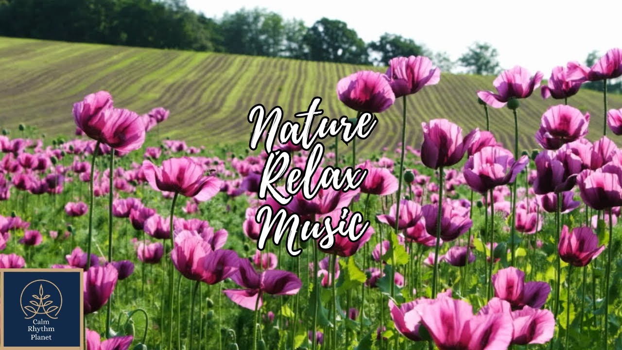 Relax Nature Instrumental Calm Music Serene Ambient Positive Energy Stress Relief And Chill Vibes