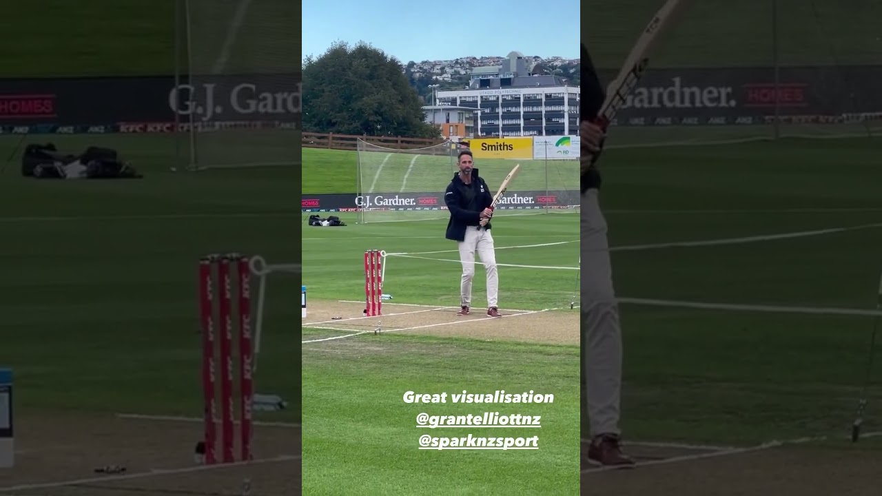 Grant Elliott Visualization #cricket