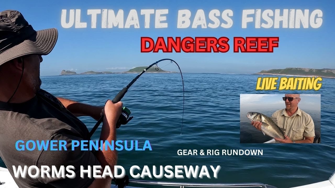UK BOAT FISHING .ULTIMATE BASS FISHING.LIVE BAITING ON THE DANGERS REEF WORMS HEAD .GOWER PENINSULA.