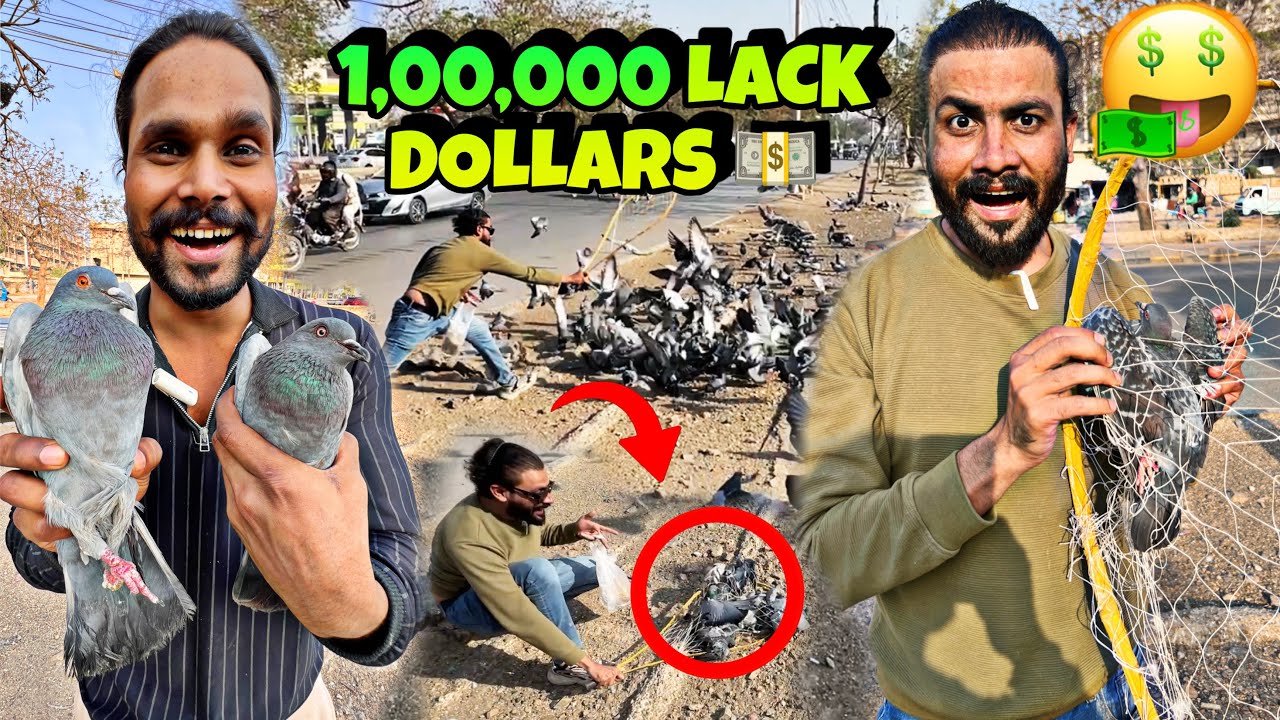 100,000 Lack Kay Kabootar Pakar Liye 😱 | Usama Emotional Ho Gaya 😭 | Khizar Bhai Vlog 