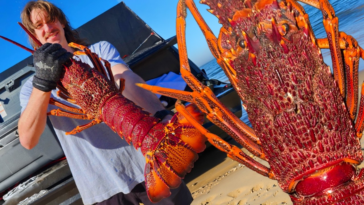 Hunting HUGE Crays in Melbourne, AUSTRALIA