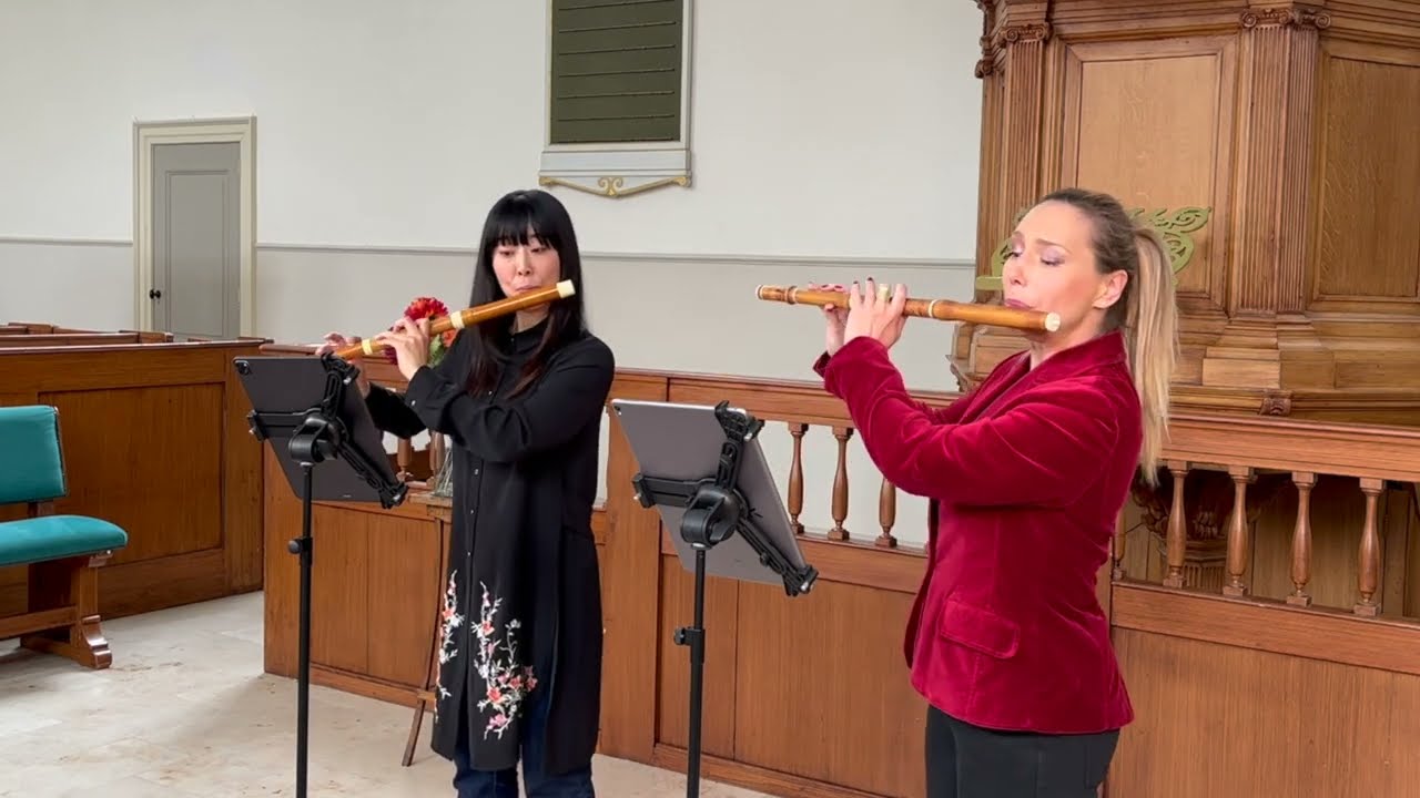 Georg Philipp Telemann (1681-1767), Duo e-minor TWV: 40-102, Largo - Allegro - Affettuoso - Vivace