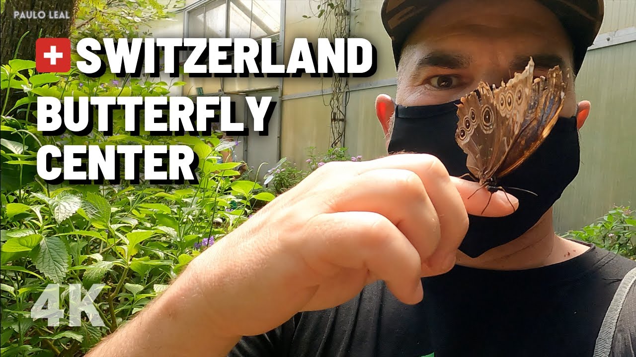 BUTTERFLY CENTER 
