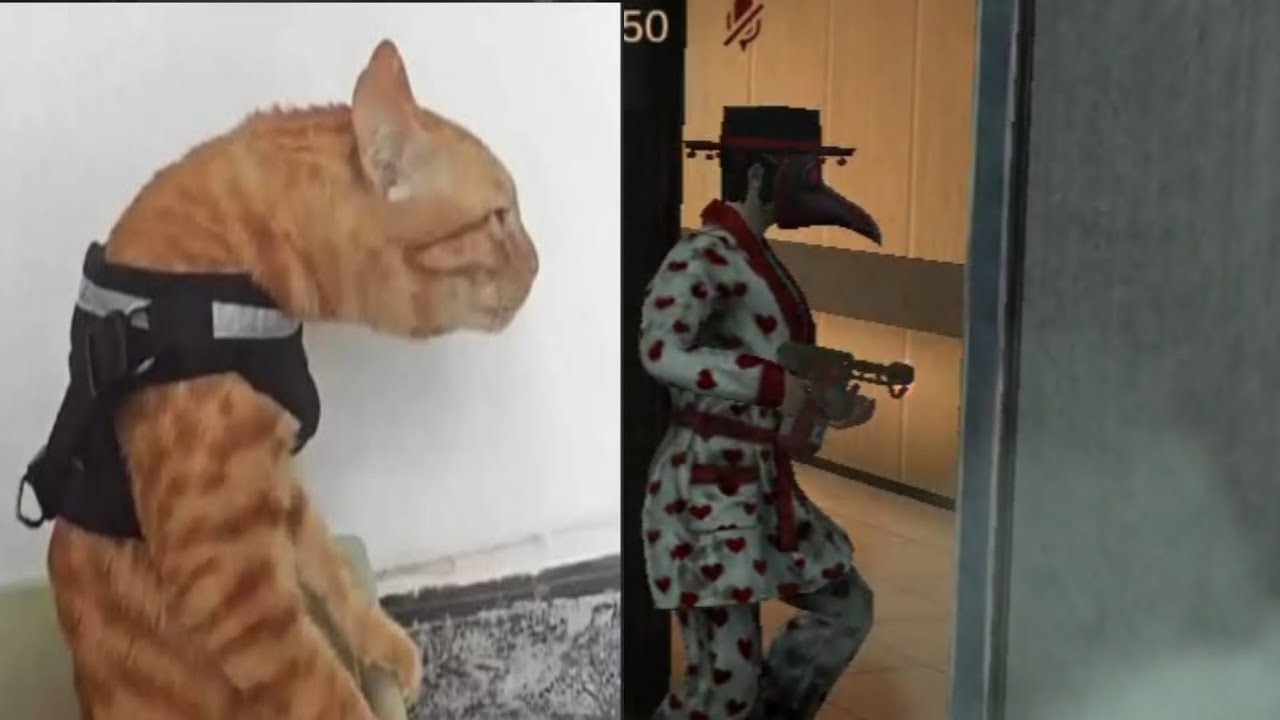 mimicry #5 I الهكر اللي خرب القيم 