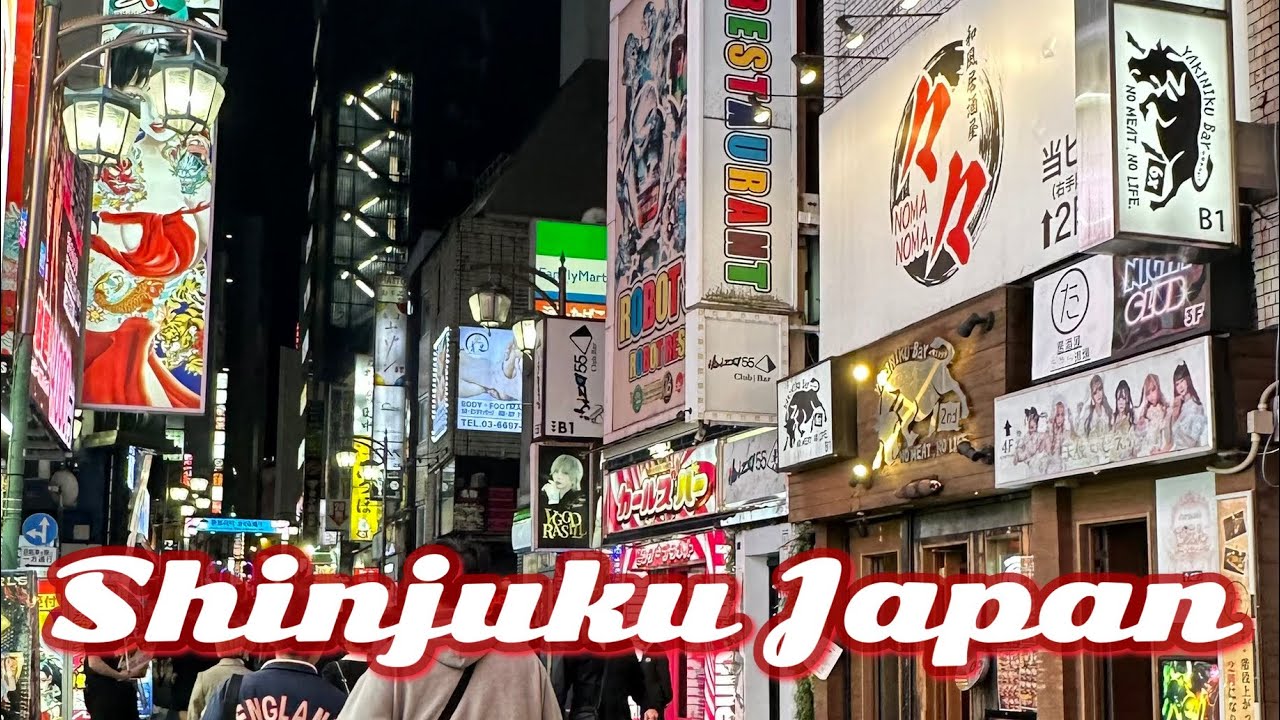 Shinjuku Tokyo Japan: Day and night walking tours at Kabukicho night walk