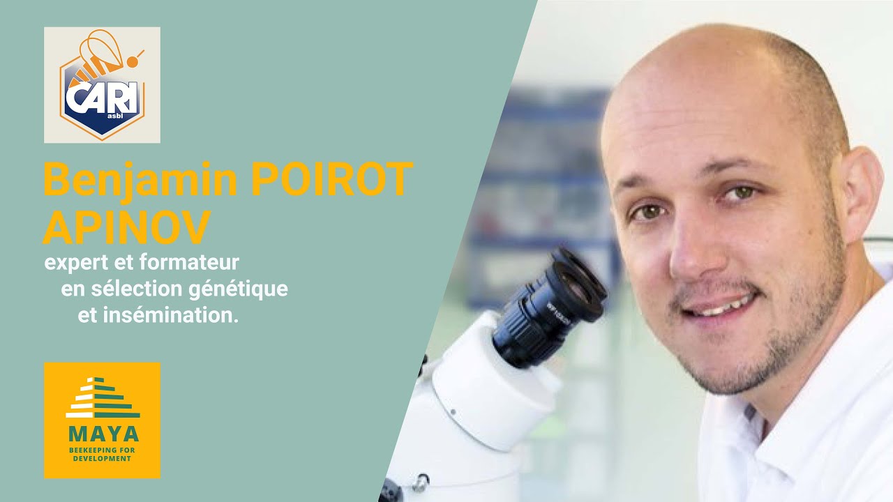 Journée Nord-Sud 2021-expert apicole en sélection d'abeilles - APINOV par Benjamin POIROTE